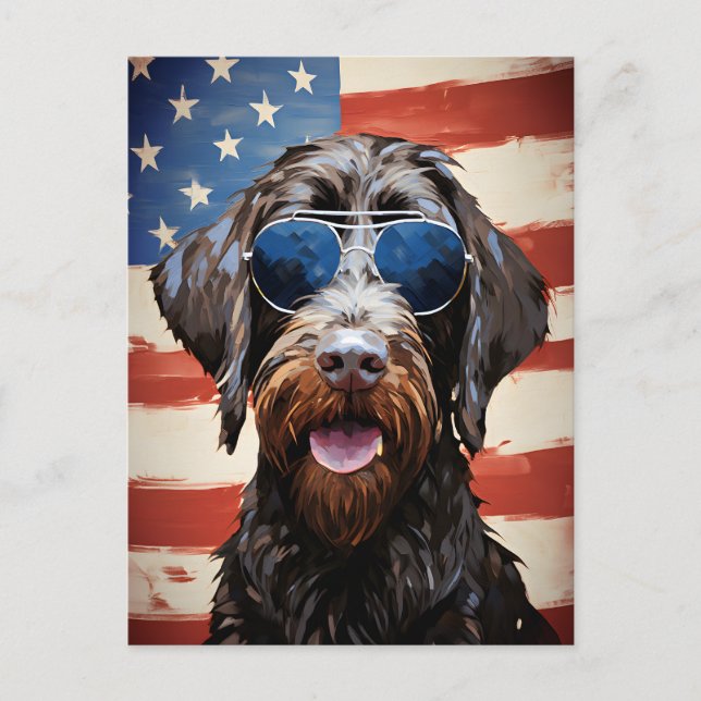 Wirehaired Pointing Griffon 4th of July Independen Postcard (Front)