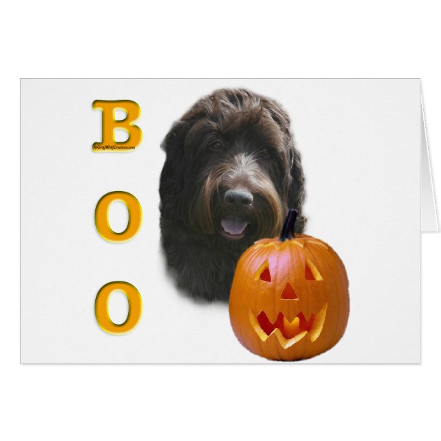 Wirehaired Pointing Griffon Boo (Front Horizontal)