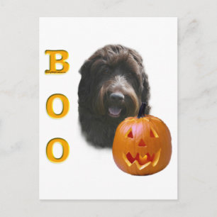 Wirehaired Pointing Griffon Boo Postcard