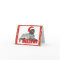 WIREHAIRED_POINTING_GRIFFON_CARD