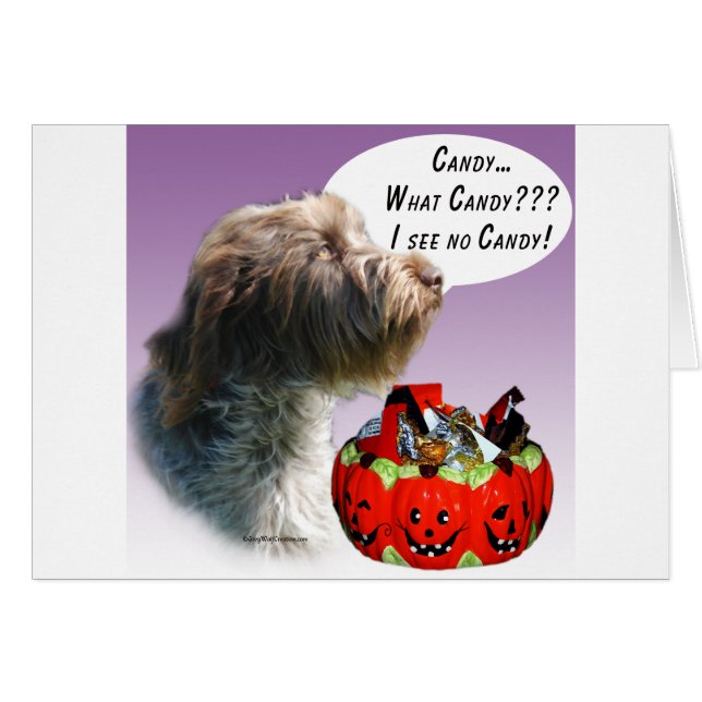 Wirehaired Pointing Griffon Halloween Candy (Front Horizontal)