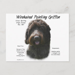 Wirehaired Pointing Griffon History Design Postcard