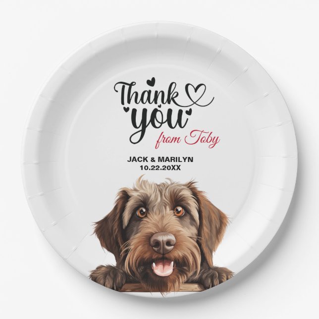 Wirehaired Pointing Griffon Paper Plate (Front)