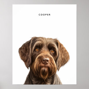 Wirehaired Pointing Griffon Personalised Print