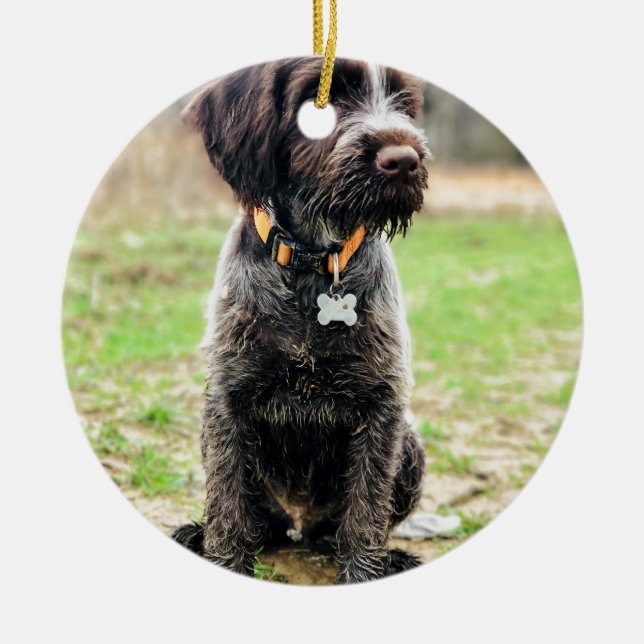 Wirehaired pointing Griffon puppy Ceramic Tree Decoration (Front)
