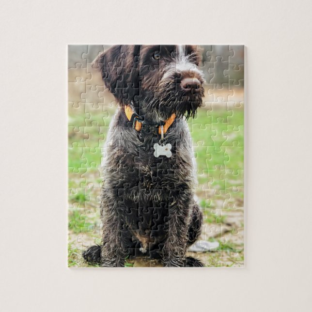 Wirehaired pointing Griffon puppy Jigsaw Puzzle (Vertical)