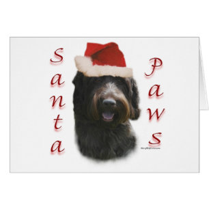 Wirehaired Pointing Griffon Santa Paws