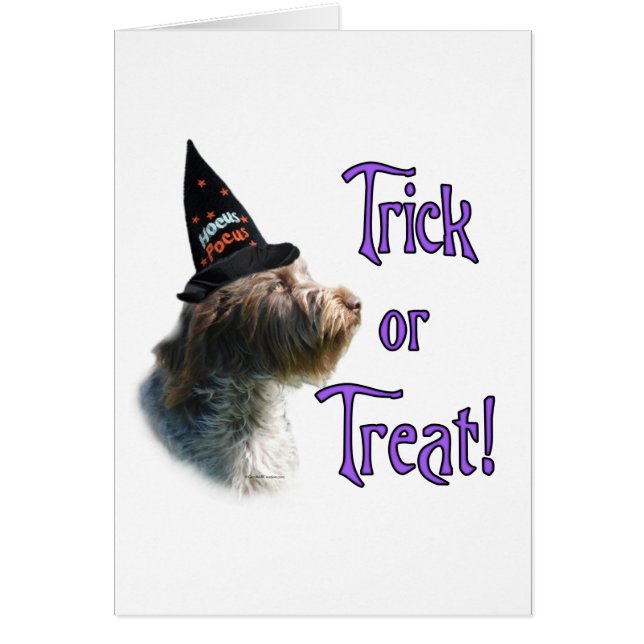 Wirehaired Pointing Griffon Trick (Front)