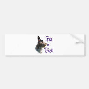 Wirehaired Pointing Griffon Trick Bumper Sticker