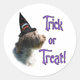 Wirehaired Pointing Griffon Trick Classic Round Sticker