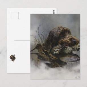 Wirehaired Pointing Griffon , Woodcock hunting     Postcard