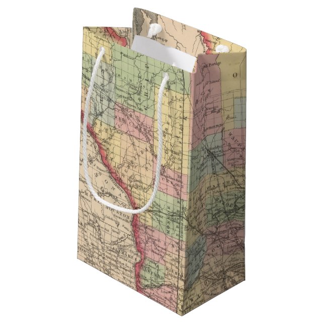 Wisconsin 7 small gift bag (Back Angled)