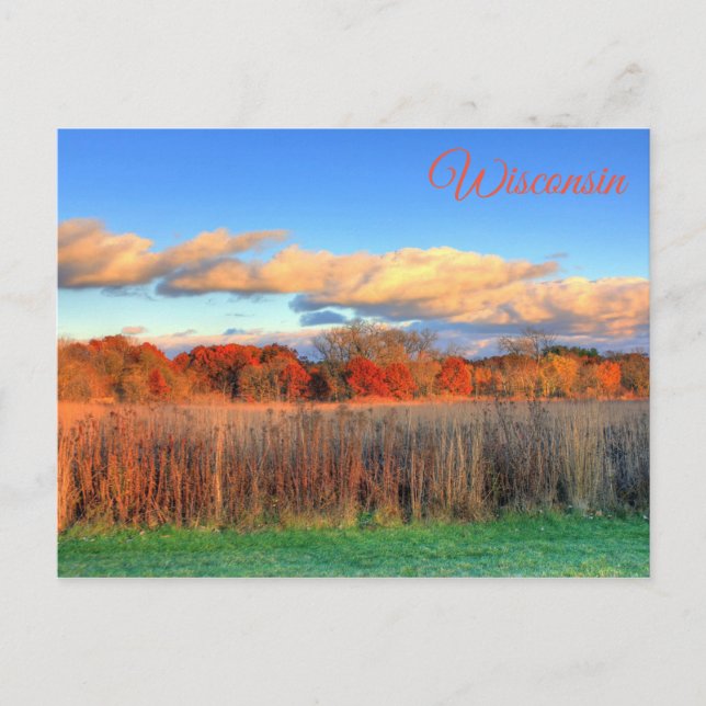 Wisconsin Autumn Scenic  View  Postcard (Front)