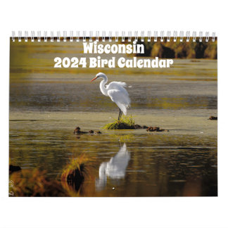 Wisconsin Birds Calendar 2024