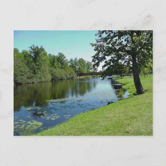 Wisconsin Medford Stream River Water Park Picnic Postcard (Front)