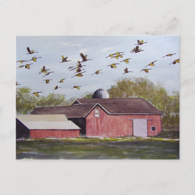 Wisconsin Sand Cranes- postcard (Front)