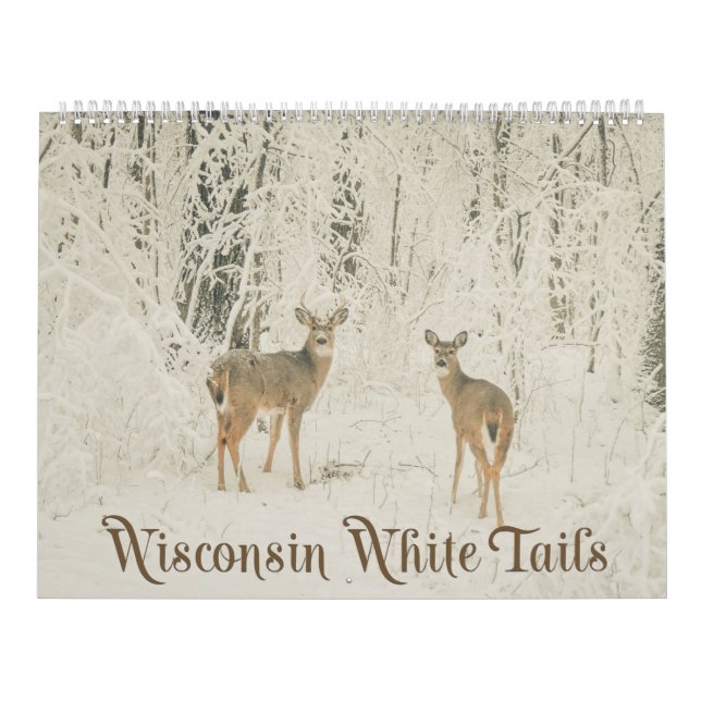 Wisconsin White Tails Calendar (Cover)