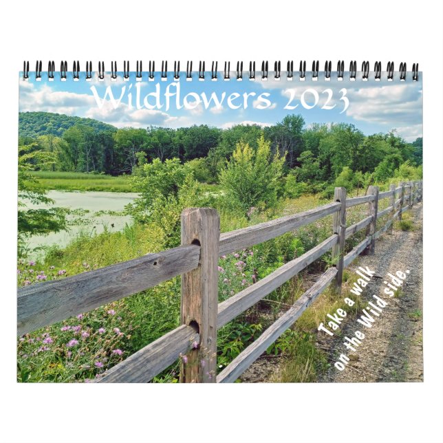 Wisconsin Wildflowers 2023 Calendar (Cover)