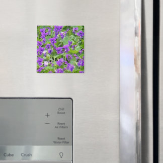 Wisconsin Wood Violets - Customised Magnet