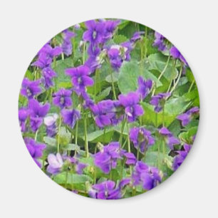 Wisconsin Wood Violets Magnet