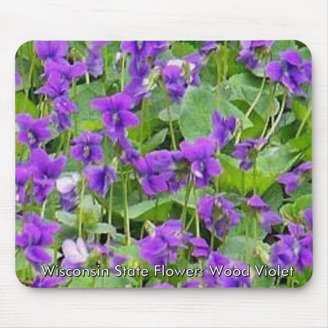 Wisconsin Wood Violets Mouse Pad (Front)