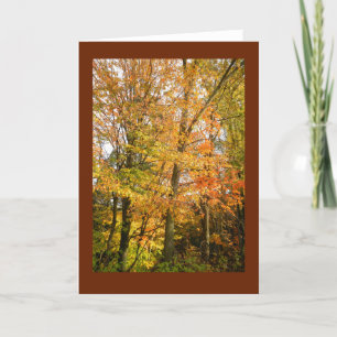 Wisconsin Woodland in Autumn Blank Note Card