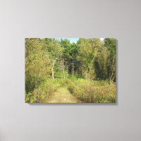 Wisconsin Woods and Trail Nature Photo Wall Art