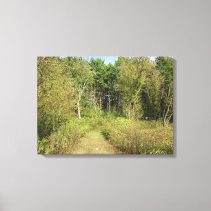 Wisconsin Woods and Trail Nature Photo Wall Art