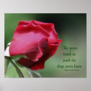 Wisdom Aging Quote Rosebud Inspirational Poster