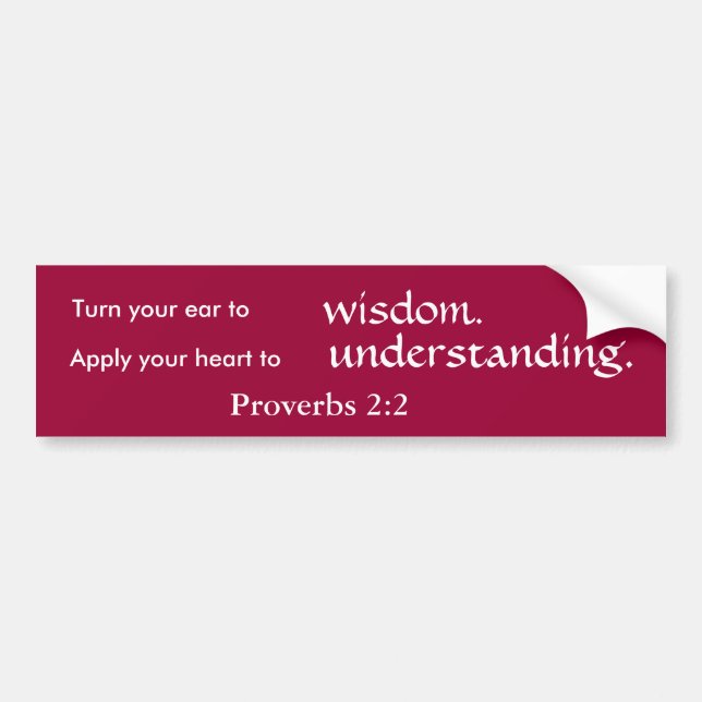 Wisdom and Understanding Bumper Sticker (Front)