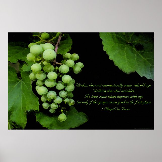 Wisdom Quote Poster (Front)