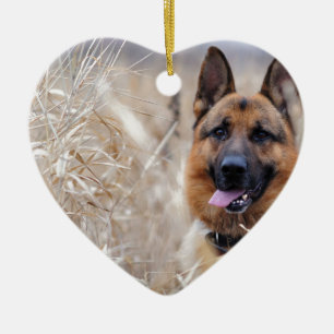 Wise German Shepherd Puppy Ceramic Tree Decoration