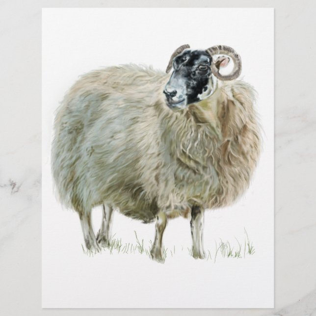 Wise Mother Sheep (Front)