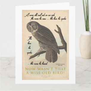 Wise old owl card