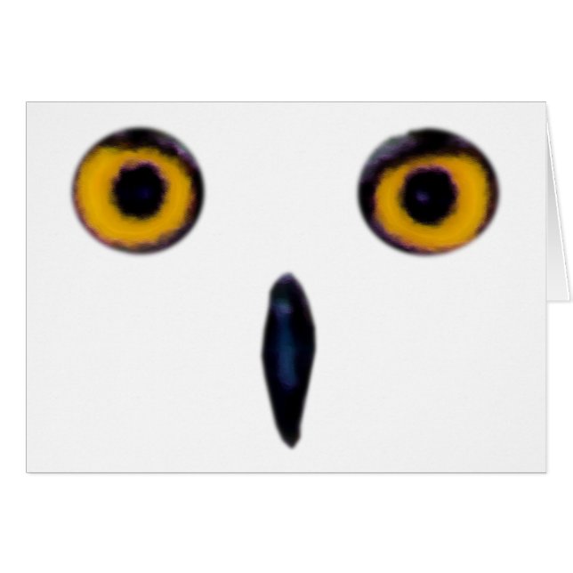Wise Old Owl Eyes (Front Horizontal)