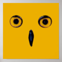 Wise Old Owl Eyes