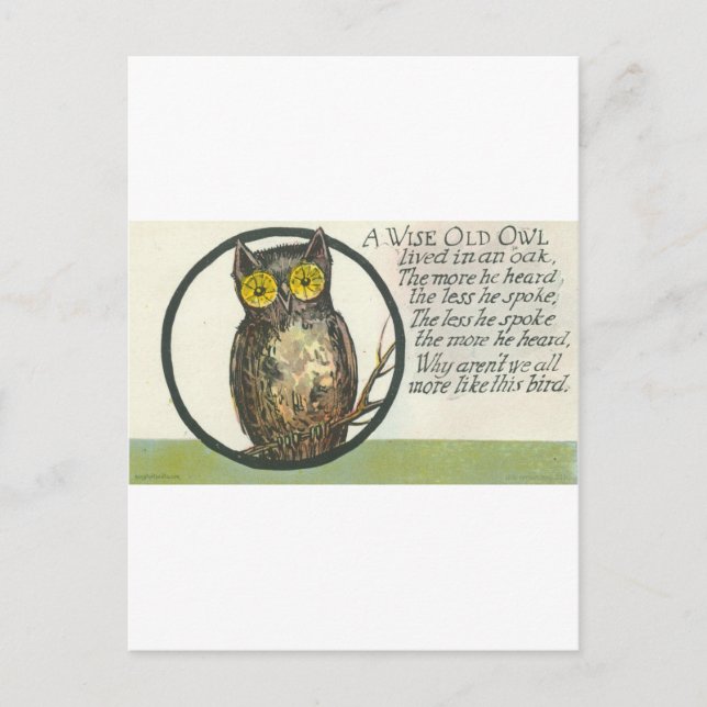 wise old owl postcard (Front)