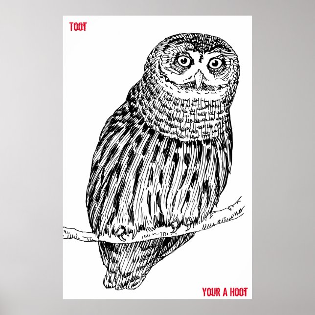 Wise Old Owl Poster (Front)