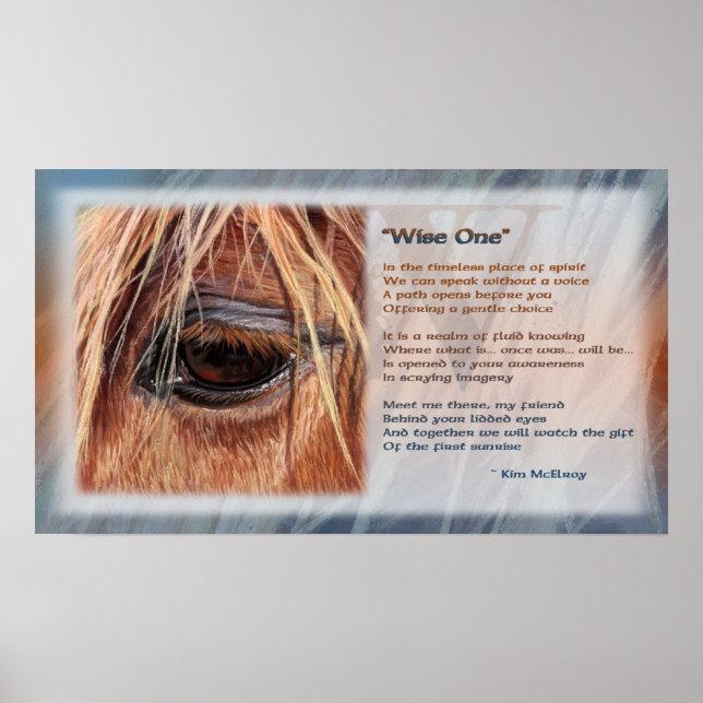 Wise One motivational poster, © Kim McElroy Poster (Front)