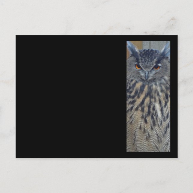 Wise One Postcard (Front)