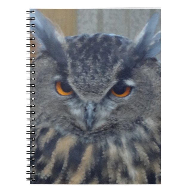 Wise One Spiral Notebook (Front)
