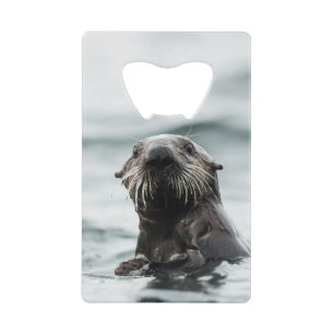 Wise Otter