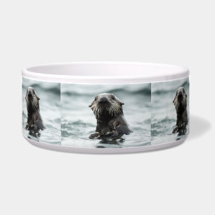 Wise Otter