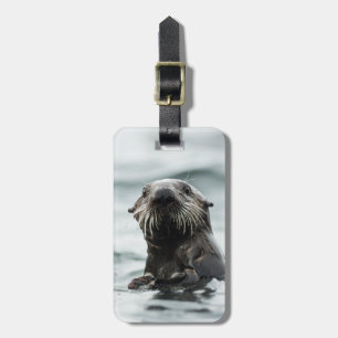 Wise Otter Luggage Tag