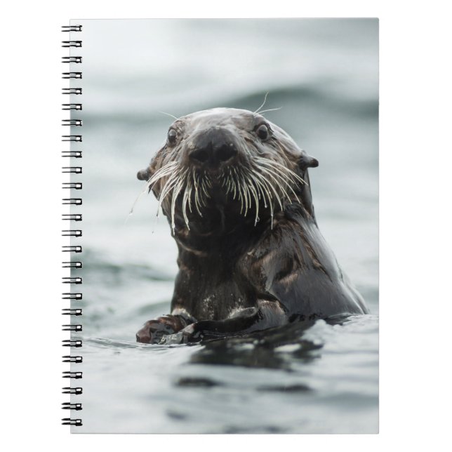 Wise Otter Notebook (Front)