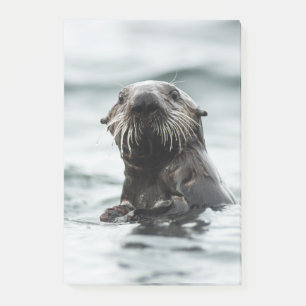 Wise Otter Post-it Notes