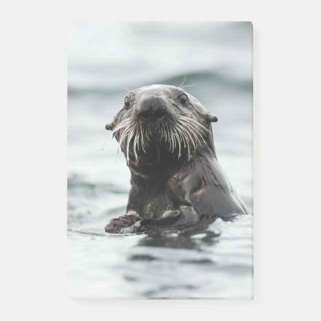 Wise Otter Post-it Notes (Front)