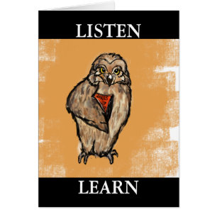 Wise Owl