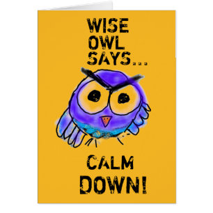 Wise owl says calm down!