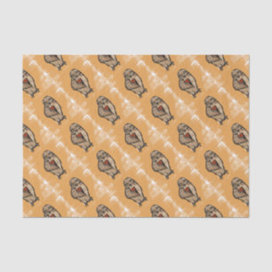 Wise Owl Tissue Paper